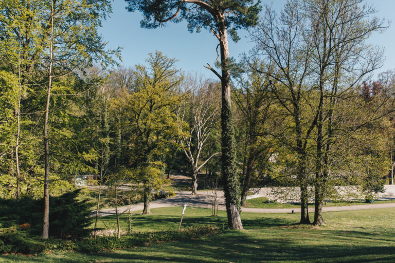 Rundgang durch den grünen Hardenberg Schlosspark